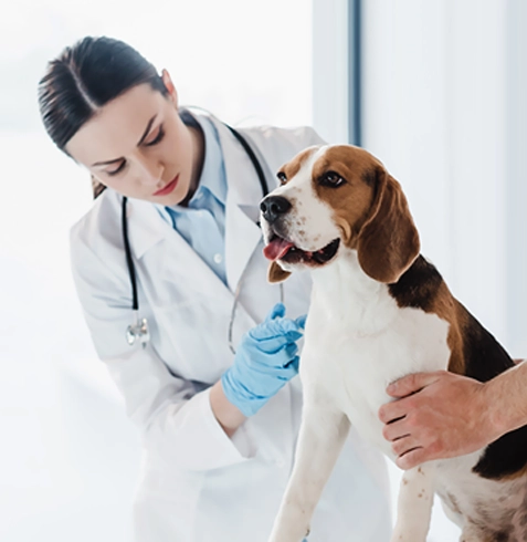 Süleymanpaşa Veteriner