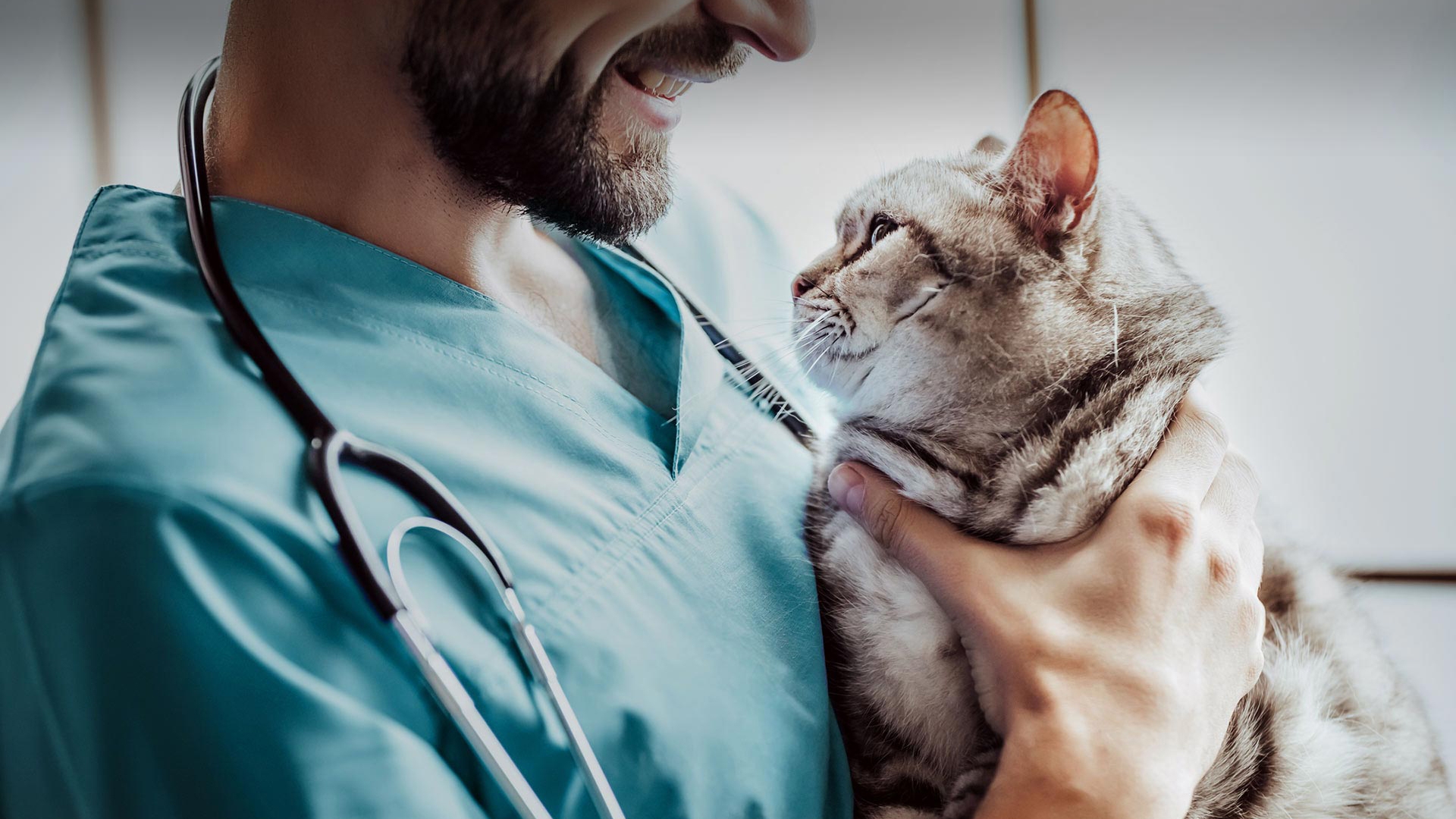 Süleymanpaşa Veteriner